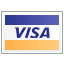 We accept Visa logo